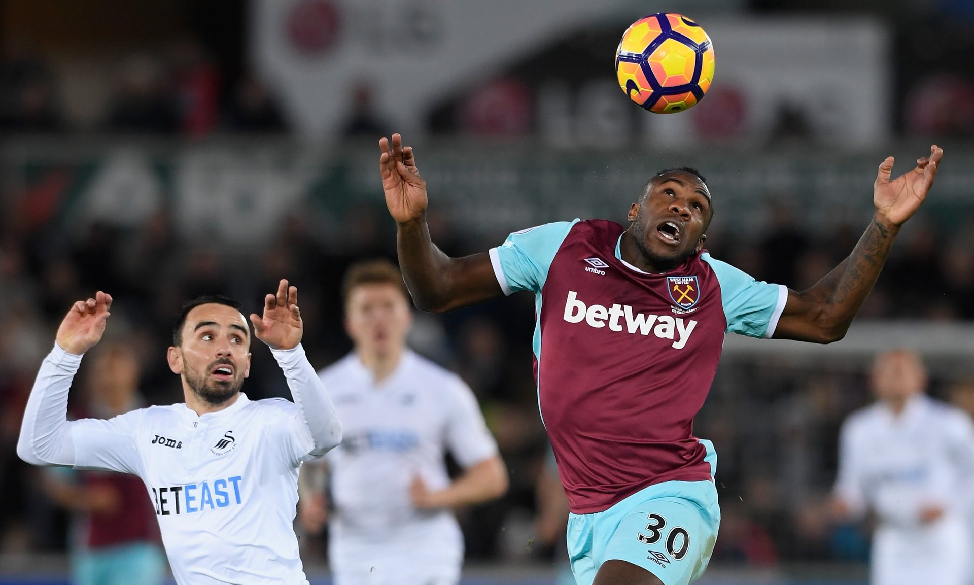 展现了极高 展现了极高